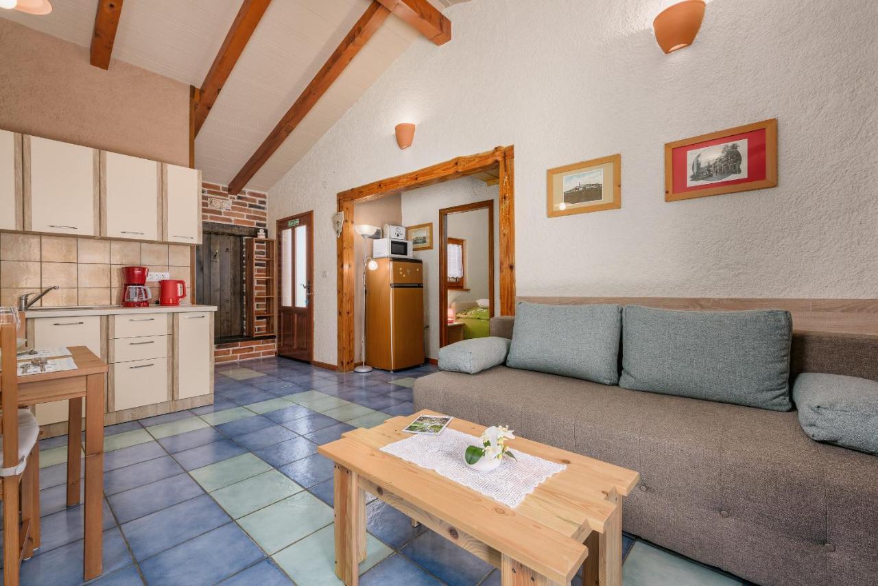 Apartment With Pool Višnjan Zewnętrze zdjęcie